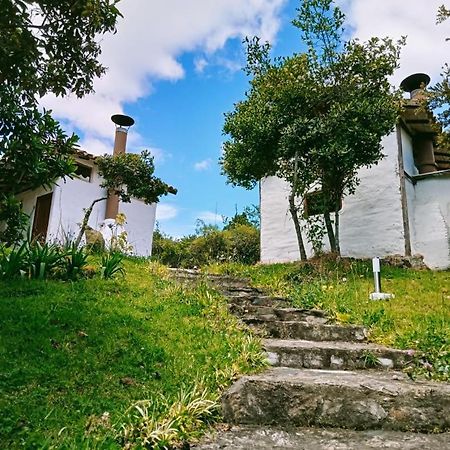 Jardín Colibrí Vila Guatavita Exterior foto