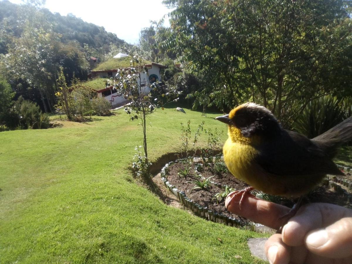 Jardín Colibrí Vila Guatavita Exterior foto