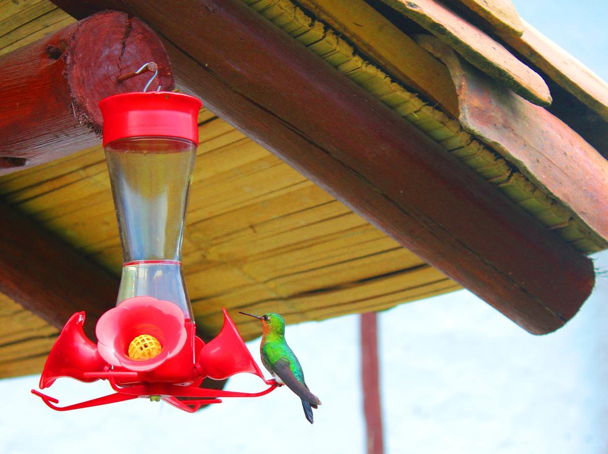 Jardín Colibrí Vila Guatavita Exterior foto