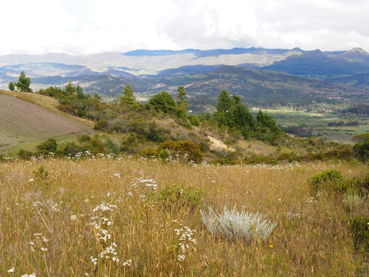 Jardín Colibrí Vila Guatavita Exterior foto